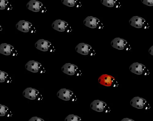 La creatividad y el mito del «Eureka!»