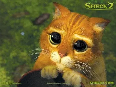Shrek puss'n boots Shrek puss'n boots